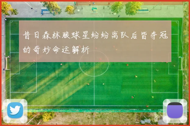 昔日森林狼球星纷纷离队后皆夺冠的奇妙命运解析