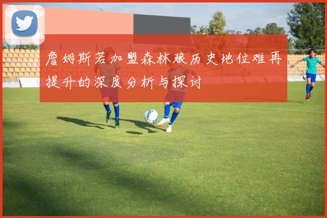 詹姆斯若加盟森林狼历史地位难再提升的深度分析与探讨