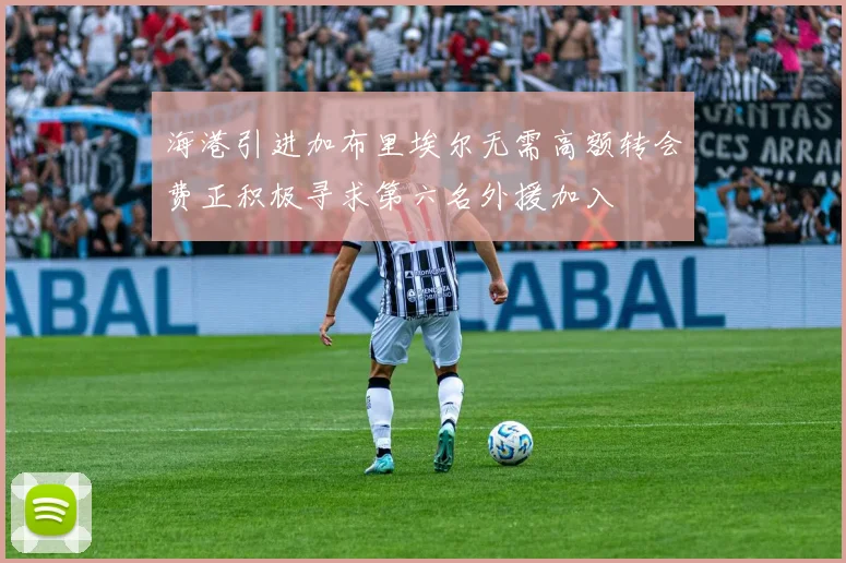海港引进加布里埃尔无需高额转会费正积极寻求第六名外援加入